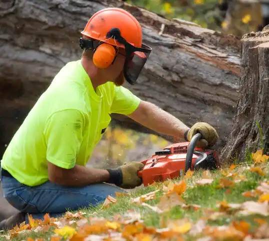 tree services Grand Forks